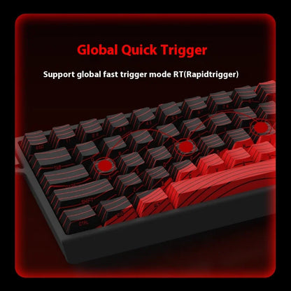 MAD60HE MAD68HE Magnetic Switch Keyboard Mechanical Keyboard 8000Hz 0.01Mmrt Wired Custom Valorant Gaming Keyboard